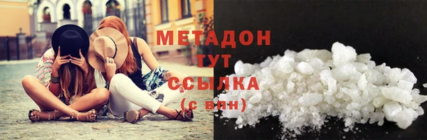 прущие грибы Аркадак
