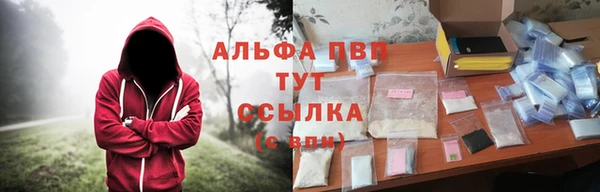 мяу мяу мука Баксан