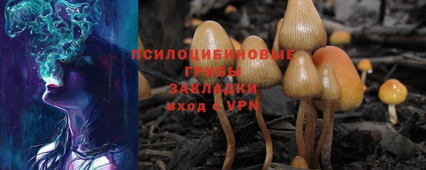 мяу мяу мука Баксан