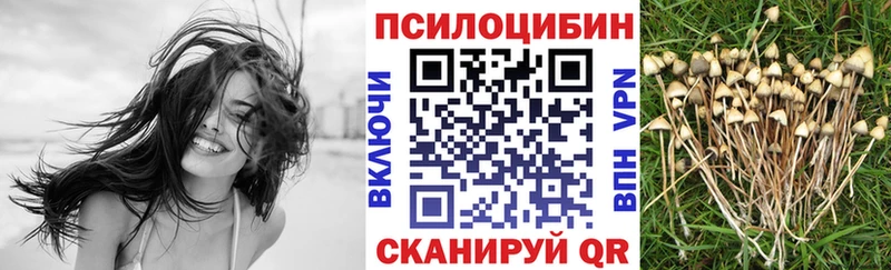 Купить  Рыбинск  Псилоцибиновые грибы GOLDEN TEACHER 